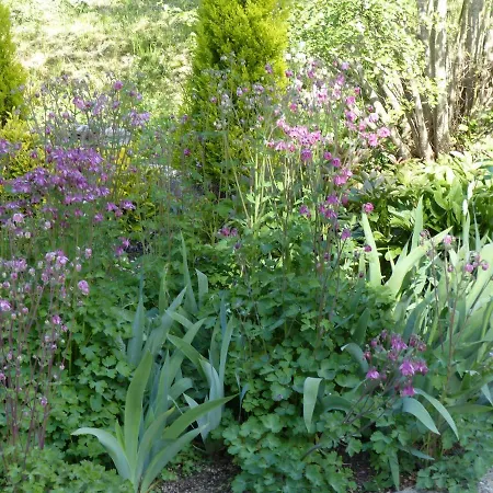 Duplex 4 Personnes La Calypso