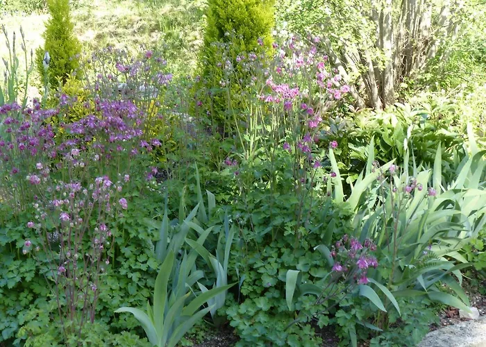 Duplex 4 Personnes La Calypso